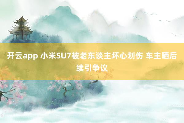 开云app 小米SU7被老东谈主坏心划伤 车主晒后续引争议