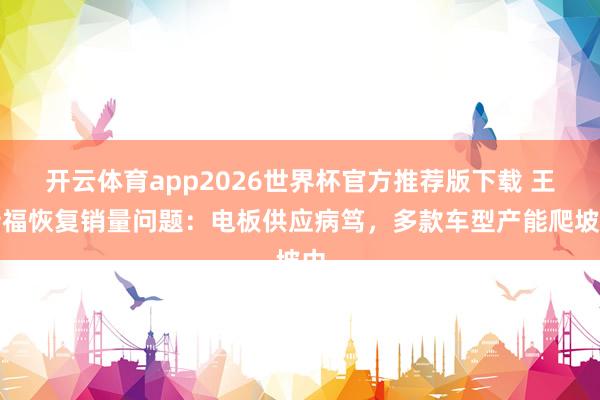 开云体育app2026世界杯官方推荐版下载 王传福恢复销量问题：电板供应病笃，多款车型产能爬坡中