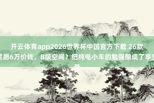 开云体育app2026世界杯中国官方下载 26款星愿6万价钱，B级空间？把纯电小车的勉强酿成了享受