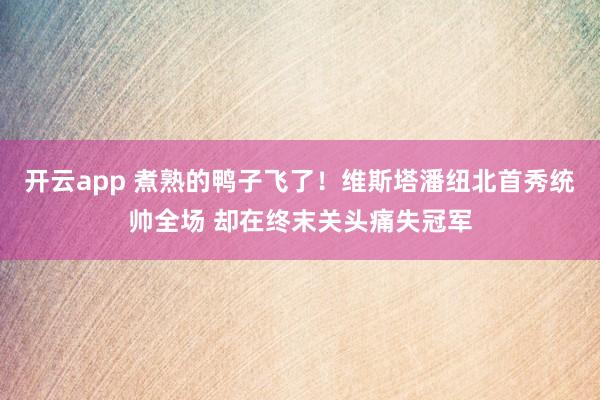 开云app 煮熟的鸭子飞了！维斯塔潘纽北首秀统帅全场 却在终末关头痛失冠军