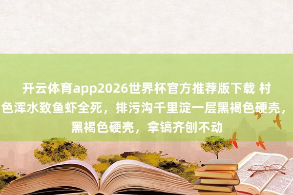 开云体育app2026世界杯官方推荐版下载 村头化工场酱油色浑水致鱼虾全死，排污沟千里淀一层黑褐色硬壳，拿镐齐刨不动