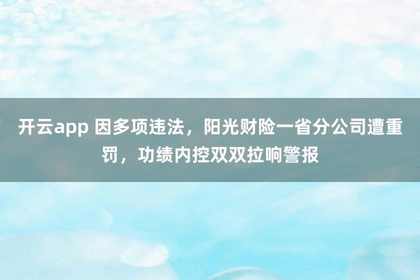 开云app 因多项违法，阳光财险一省分公司遭重罚，功绩内控双双拉响警报