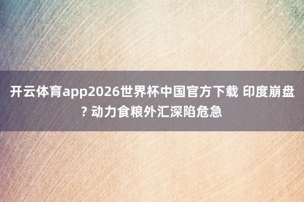 开云体育app2026世界杯中国官方下载 印度崩盘? 动力食粮外汇深陷危急