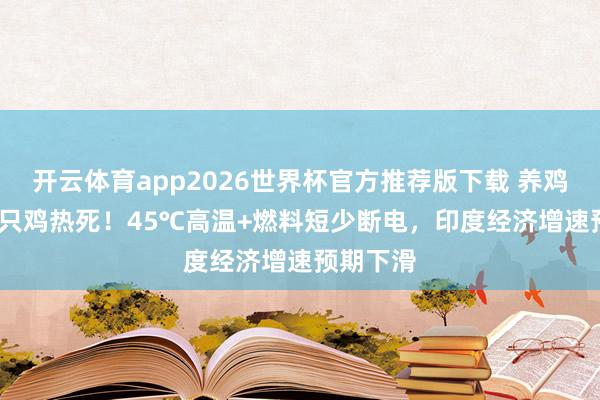 开云体育app2026世界杯官方推荐版下载 养鸡场5300只鸡热死！45℃高温+燃料短少断电，印度经济增速预期下滑