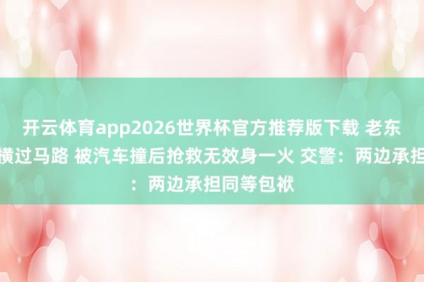 开云体育app2026世界杯官方推荐版下载 老东谈主牵狗横过马路 被汽车撞后抢救无效身一火 交警：两边承担同等包袱