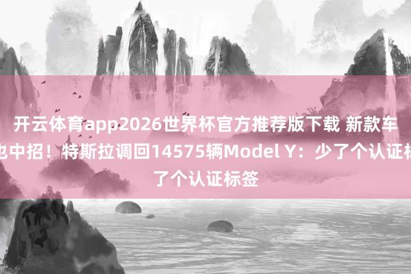开云体育app2026世界杯官方推荐版下载 新款车型也中招！特斯拉调回14575辆Model Y：少了个认证标签