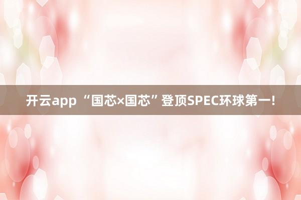 开云app “国芯×国芯”登顶SPEC环球第一!
