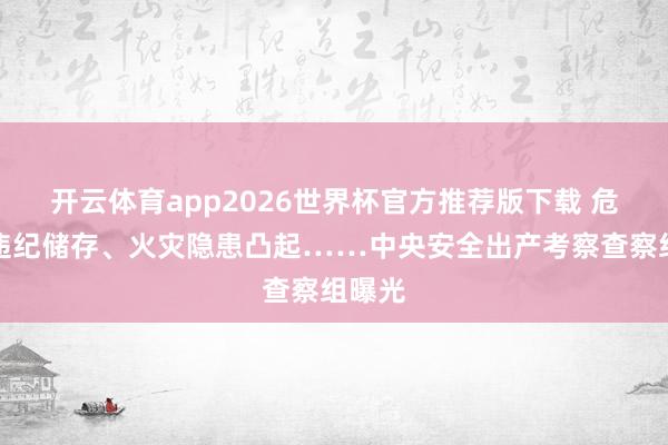 开云体育app2026世界杯官方推荐版下载 危化品违纪储存、火灾隐患凸起……中央安全出产考察查察组曝光
