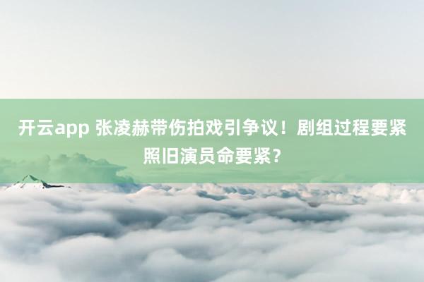 开云app 张凌赫带伤拍戏引争议！剧组过程要紧照旧演员命要紧？
