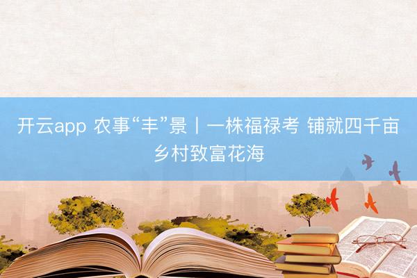 开云app 农事“丰”景丨一株福禄考 铺就四千亩乡村致富花海